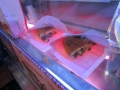 insanefood 069