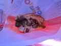 insanefood 072
